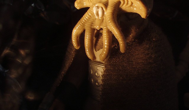 Squid Head.